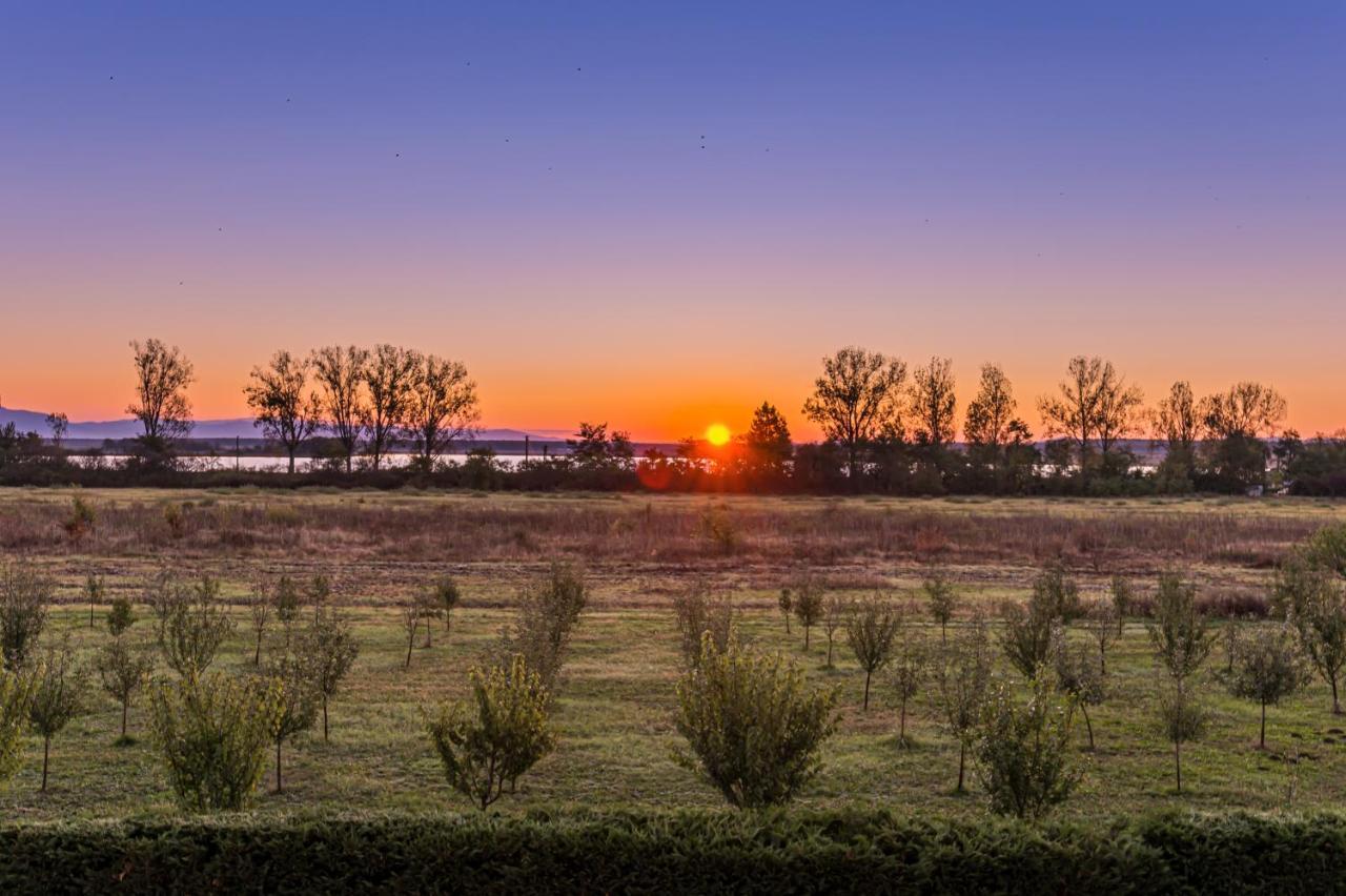 Stejarii Resort Ineu  Екстер'єр фото